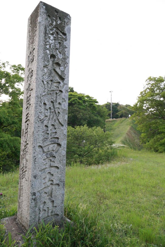 吉野ヶ里遺跡、佐賀城と周り、太宰府にやってきました。<br /><br />初めて訪れる九州国立博物館。立派な博物館ができています。<br />「聖地チベット　ポタラ宮と天空の至宝」を見てきました。<br />チベット仏教の展覧会はいままで見たことがなく、ここまで見に来てよかったと思いましたが<br />東京、大阪等巡回するとのことで、別にここで見なくてもとショックをうけてしまいました。<br />気をとりなおして常設展を見ます。閉館ぎりぎりまで見ていましたが時間が足りませんでした。<br /><br />それから、大野城市総合体育館で１００名城のスタンプをもらい大野城へ。<br />ぐるぐる探して、とりあえず百間石垣へ。よくこんな時代のものが残っているなと思いました。<br />それから、太宰府へ戻る途中、焼米ケ原近辺の遺構を見学しました。<br /><br />それから、まだ行ったことのない水城へ行きます。<br />結構暗くなっていましたが見ることができました。<br /><br />心残りは、太宰府でいつも行く梅が枝餅屋が閉まっていたことでした。