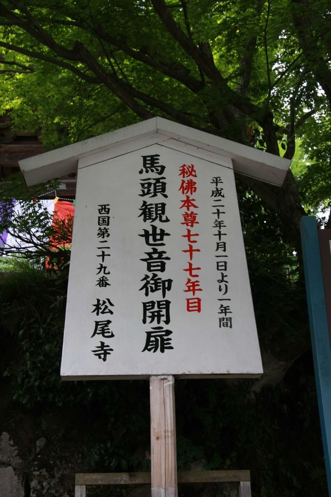 籠神社の国宝海部氏系図が展示されているので、西国二十八番成相寺と二十九番松尾寺の御開帳と合わせて行ってきました。<br /><br />まずは舞鶴。松尾寺です。<br />御開帳で本尊の馬頭観音を見ることができました。<br />また、宝物殿ができていて、国宝の普賢延命菩薩像や本尊の御前立が展示されていました。<br /><br />それから、北吸桟橋の見学です。<br />最近見ていない「ましゅう」なんかがいました。<br /><br />それから、神崎煉瓦ホフマン式輪窯跡です。<br />舞鶴の赤煉瓦を焼いた窯跡です。<br />現在は別の会社の敷地になっていますが、一応断わりをいれて<br />見学させてもらいました。<br />ただ、状態はひどいです。すでに、煙突１本が折れているのですが<br />他のところも危なそうです。