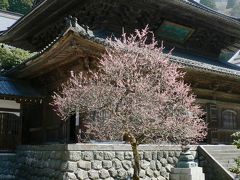 日本の旅　中部地方を歩く　福井県の永平寺