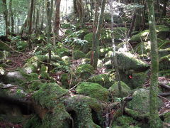 ２００９夏鹿児島の旅～屋久島２日目編～