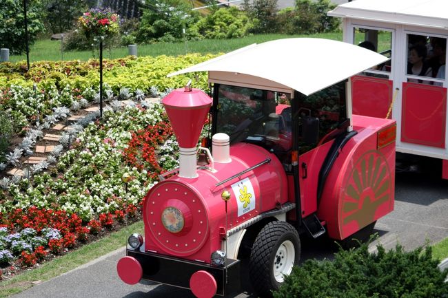 ■大山と蒜山へ?<br /><br />■鳥取県南部町<とっとり花回廊 色とりどりの花><br /><br /> 秀峰大山が背景に広がる花の公園内には、直径50m、高さ21mのフラワードーム、園内を一周する展望回廊、水上花壇など、各所で色とりどりの花が美しく咲き誇っています。<br /><br /> メインフラワーは「ゆり」。世界で現在確認されている原種ゆりの半数近くを栽培していて、その数年間100品種以上。<br /><br /> 見頃となる5〜8月には10万株以上のゆりが咲き誇り、園内が癒しの香りに包まれます。HPより。<br /><br />・フラワートレイン<br /> マスコットキャラクターのポロロ号とピロロ号。西館前の広場から発着、主なポイントを紹介しながら、園内をグルッと一周ゆっくりと回ります。<br /><br />【手記】 <br /> 前日はお仕事で深夜の帰宅(いつもですが)。にもかかわらず、なんと!午前4時00分起床、4時50分出発!午後7時半帰宅・・・とっとり花回廊のお花観賞と放牧牛ウォッチングを目的に、想い出深い地でもある自然豊かな大山&蒜山をぐるっと回ってきました。<br /><br /> 日帰り強行軍、往復570kmのひとり旅でした。<br /><br />