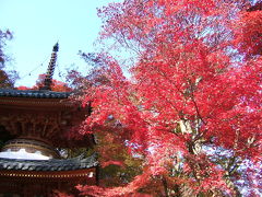 大威徳寺(だいいとくじ)　紅葉狩り