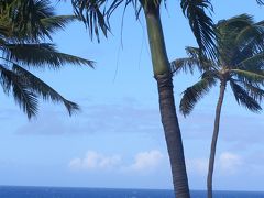 のんびり３週間のハワイ滞在ーオアフ島ほぼ一周（ダイジェスト版）