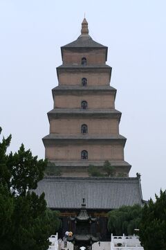 2009夏、中国旅行記16(38/39：シルクロード)：6月27日(2)：西安