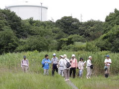 板山湿原観察会