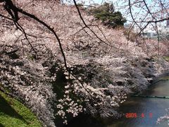 09.04.02＆１０皇居の桜