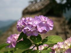 ひとり旅 ［568］ 大山と蒜山へ?最終ファイル＜蒜山郷土博物館＞岡山県真庭市