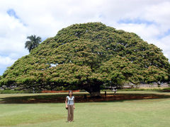 のんびり３週間のハワイ滞在ーこの木なんの木気になる木～♪