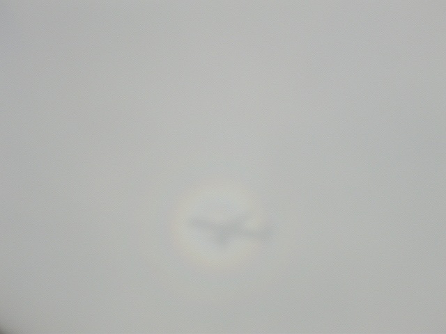 5日曜1日目1午前バンコクでトラブル成都でハプニング<br />写真は０９０７０５－１７：３１．夕日を受けた飛行機が雲に影を落としてます。しかも輪郭がちょっと虹色。<br />九寨溝黄龍成都よそ見ばかりのまだＢＫＫ。バンコクから成都空港に到着では飛行機を降りる前に何かの検査。全員が機内でしばらく動けない。結局、発熱児童にツアーガイドが１人付き添う。ガイドが２人居て良かった。ご家族には気の毒なツアーの始まりになる。<br />１日目。ＴＧ６１８便BKK１０１５－１４２５成都着予定が１時間半遅れで飛び立つ。<br />ＣＡ４４９５便成都１７：０５－１７５０九寨溝着予定が１０分遅れで動きだす。<br />成都は標高５００ｍ。九寨溝黄龍空港は標高３５００ｍ。富士山より高い所に来てしまいました。ここからホテルは標高２０００ｍの所です。<br />２日目。九寨溝を観光。<br />３日目。黄龍観光－成都のホテルへの移動。<br />４日目。成都を観光－ＢＫＫ着。<br />ツアー社ＡＰＥＸ。宿泊は格桑賓館に２連泊。<br />タイ国土全体が湿地帯でありまして作った運河は真っ直ぐだったけど。保全をしないから蛇行したチャオプラヤー河だそうです。<br />