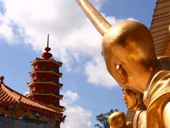 憧れの金ぴか仏様１００００体♪沙田萬佛寺