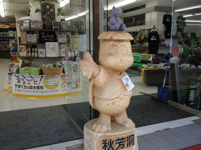 01開洞100年秋芳洞を行く～入口にたどり着くまで編～