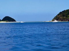 恩納村でダイビング続き～やっぱり慶良間へ