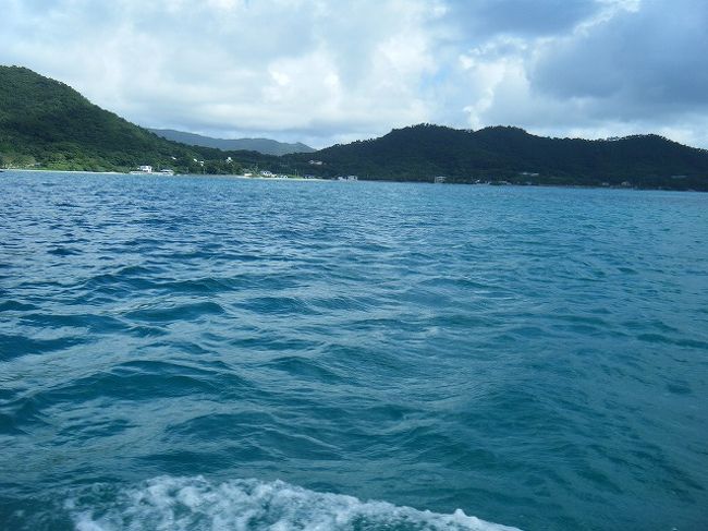 初めての奄美大島に行って来ました。<br />ずっと前から行きたいと思っていた、奄美大島。<br /><br />九州(鹿児島)と沖縄(本島)のちょうど中間辺りに位置する、亜熱帯の島。<br />日本の島としては、佐渡島の次に大きい面積を持つそうです。<br />文化や、気候は沖縄圏に入るのだそうですが、奄美諸島は沖縄県ではなく、鹿児島県です。<br /><br />奄美大島で私が知っていたことと言えば… 大島紬、西郷隆盛が島流しにあっていた場所、田中一村、鶏飯…。<br />せっかくの奄美大島、全部満喫したい!<br /><br />今回、1週間ぽんと休みが取れたので、以前からやってみたいとは思っていたものの、なかなか実際に始められていなかったダイビングにも挑戦してみることにしました。<br />果たして、こんなへなちょこな私にも、ダイバーになれるのでしょうか?!
