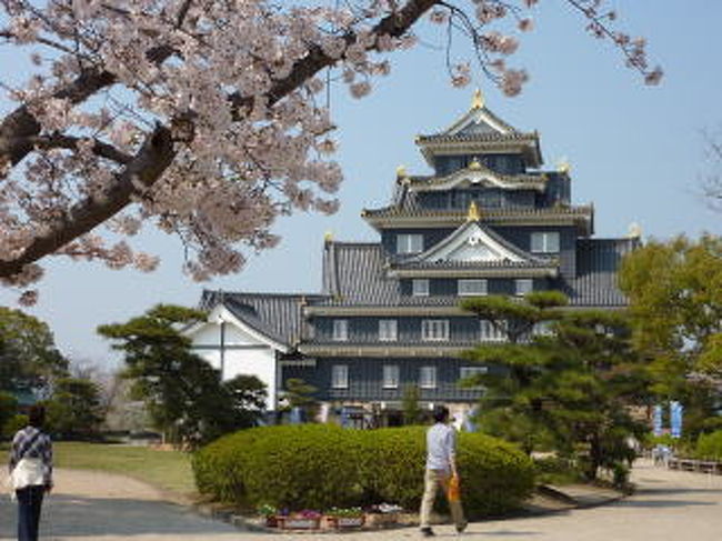 この春のお花見は新幹線で岡山へ行きました。<br />倉敷の美観地区と岡山城と後楽園。