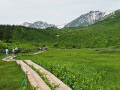 初夏の北アルプス山麓を訪ねて（栂池自然園編）！　