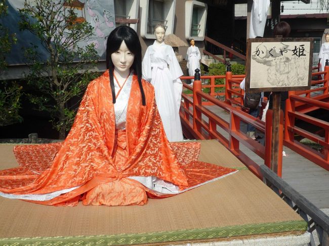 仕事で宇都宮に行ってきました。宇都宮駅から仕事場に向かうバスの中から、お祭りが見えたので、帰りに寄ってみました。小さな神社でしたが、なかなか？？？な飾り物が。かぐや姫の後ろにたくさんの幽霊がぶら下がっていてびっくり！！！