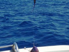 万座ビーチリゾートを弾丸で遊びつくしッ?・・体験フィッシング編