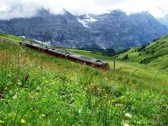2009.7 スイス・ハイキング三昧の旅【７】…一日で３つのハイキング！お花畑のクライネシャイデックを歩く♪