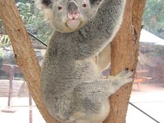 オーストラリアでリフレッシュ　Ｖｏｌ.1