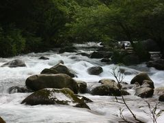 初夏の信州(6) 烏川渓谷散策 ～2009年7月～