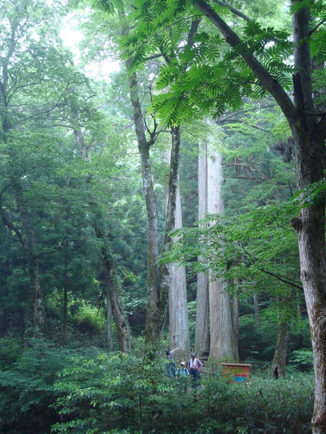 飯ヶ岳(937m)に登り、汗かいた後は「石風呂」に入って帰る。と言う計画を立てました。<br />私(ゆきだるま)のトレーニングとK(ゆきだるまの夫)のリハビリのために「登ろう会」に参加です。<br />地図で飯ヶ岳に行く途中に「石風呂」の表示を発見したK提案です。『無知』って怖い!!<br />