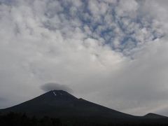 久しぶりの水ヶ塚公園から見た富士