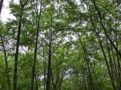 晴れますように上高地