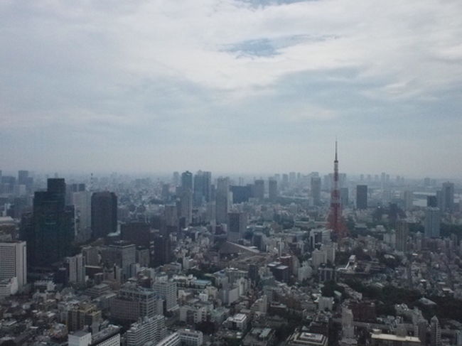 友達たちの、前日の疲れもあるが、せっかく大阪から来たんだから、<br />高い所に行かせてあげようと、翌日は朝から六本木ヒルズにいった。<br /><br />東京タワーに行ってもよかったんだけど、また階段で上がるという話になっても嫌だったので。