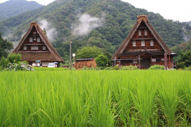 旅行２日目は世界遺産五箇山と白川郷へ行って来ました。<br />五箇山は、白川郷と比べて規模は小さいものの、まださほど観光地化されていないところが多く残っているので、よりリアルに合掌造り集落の雰囲気が伝わってくるように思いました。<br />初めて見る五箇山は昔話に出てくるような里山の風景そのものでした。