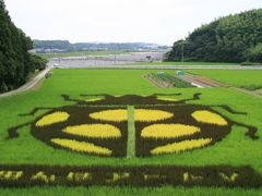 小さな旅●抹茶の里西尾 1・田んぼアート 2009