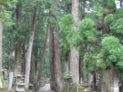 また来ちゃった高野山。でもやっぱ良い！