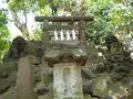 コマちゃん探して千里も一里　羽田　羽田神社
