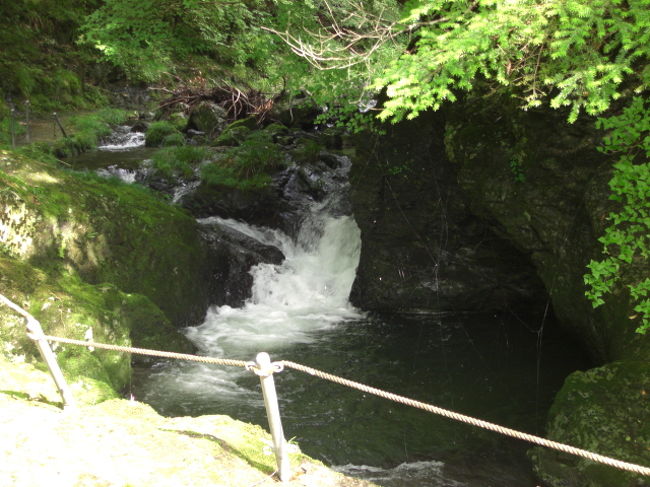 愛知県の百間の滝へ行きました。場所も確認できましたが、階段で下まで降りる時間が無く帰ってきました。もう一度、今度は時間を作って再トライです。