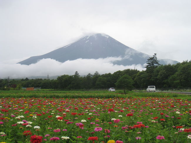 河口湖から、一路山中湖近くの「花の都公園」へ。<br />今日は車窓から、富士山が見えないなー。<br />分厚い雲に覆われています。