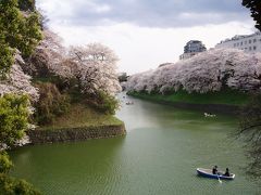 東京２００８桜　【２】皇居　
