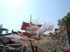 陽光うららかな春・中山寺