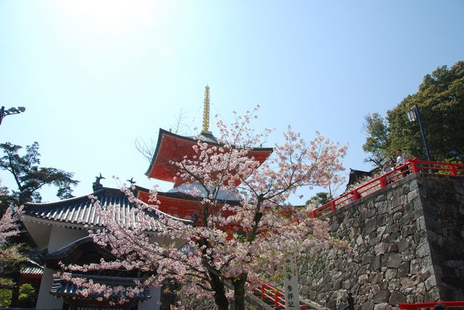 春の良く晴れた土曜日に中山寺へ行ってきました。<br />たくさんの人が参拝に来ていました。寺の庭に植えられた桜がとても綺麗に咲き誇っていました。