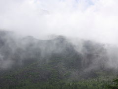 富士山５合目＆青木ｹ原樹海＆鳴沢氷穴で観光＆バードウォッチング？