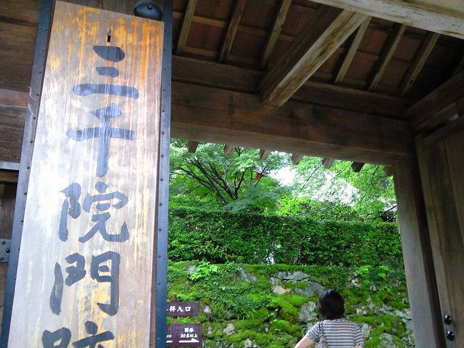 緑がみたい！！「みどり不足」な感じだったので、<br />大原へ行くことに♪<br /><br />まだ梅雨明けしてない京都。<br />この日も台風みたいに降ったり<br />晴れ間がでてきたり。。。<br />車だったからよかったものの山の変わりやすい天気を体感。<br />雨のおかげ？で、人も少なくお堂のなかでゆっくーりお話を聞くことができました。<br />「偶然なんてものはなく、すべてのできごとは、必然である。<br />今日ここに来たことも必然なんだとか。」<br />たしかし、緑のおかげでとってもリラックスできました。