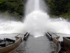 ２７．２００９年ＧＷ関西のユルイ感じのテーマパークを巡る旅　みさき公園 ダイダルウェーブ 観光灯台 動物園 トランポリン