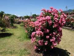 母娘☆長野の旅☆（中野・小布施編）