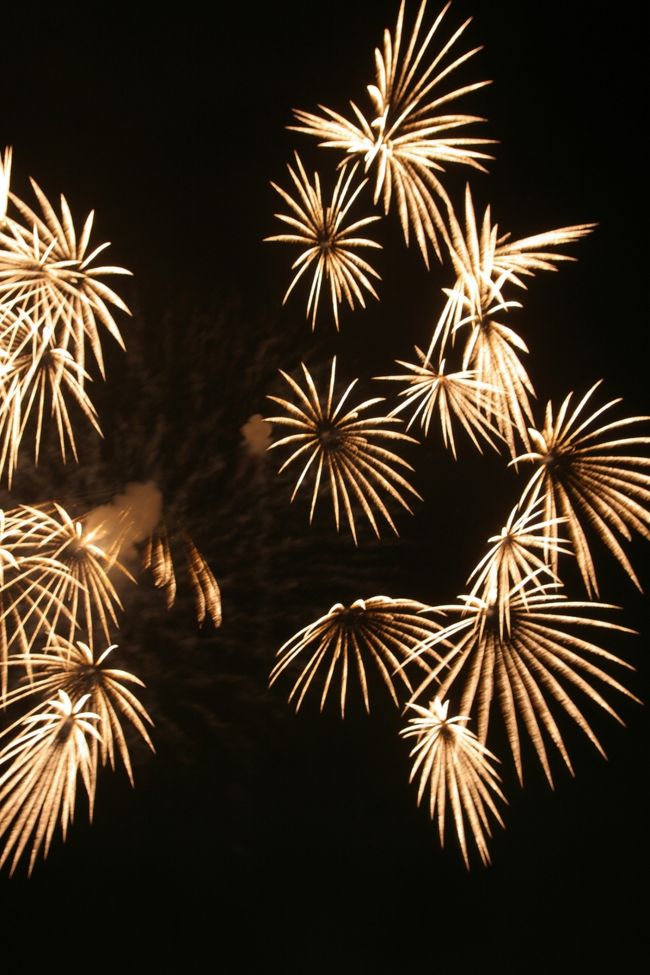 今年も夏の風物詩、花火大会へ行って来ました。<br /><br />写真を撮るのは好きなのですが、どうしても上手くならない私の技術･･･<br />写真は散々でしたが、花火は凄くステキでした♪<br /><br /><br />2007年に行った花火大会はこちら<br />http://4travel.jp/traveler/noririn-dayo/album/10168771/