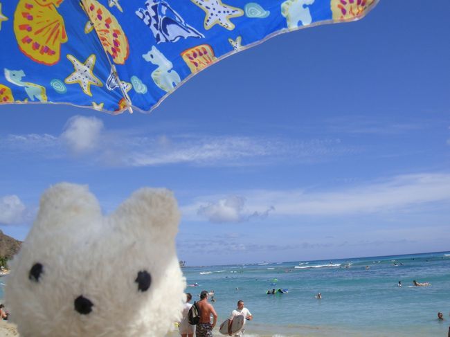 ちょっと早めに夏休みをとってまたまたハワイに行ってきました。