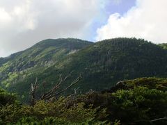 盛夏の信州(1) 八ヶ岳連峰・北横岳へ ～2009年8月～