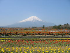 富士山と白川郷を目指し、弾丸一泊二日ドライブ