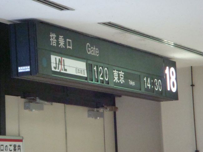 １８番と１７番が羽田行きの定位置です。<br />私も頻繁に利用するフライトですが、目の前にもう一つのサクララウンジがあり便利さはあります。
