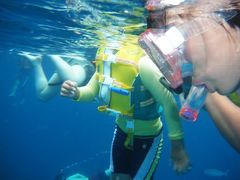 家族みんなでレダン島へGO！！その①