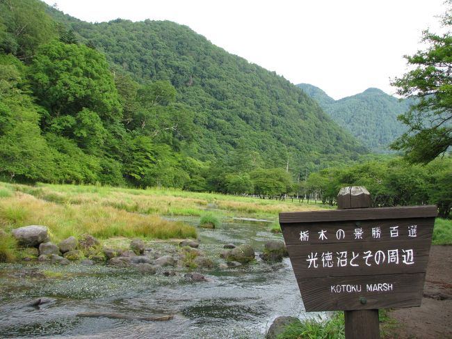 　仕事が忙しくここ何か月か全然旅行にいけなかったが、夏休みがとれたので少旅行を決行。土曜日仕事が終わってから出発。アストリアホテル付近に0時15分くらいに着。朝7時30分に出発し、光徳沼〜湯滝〜小滝〜戦場ヶ原〜竜頭の滝を歩く。<br />　ハイキング後は日光中心部で世界遺産めぐりをした。帰りは羽生の温泉によって帰宅した。