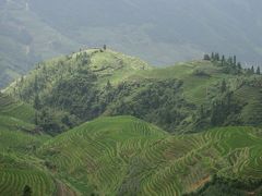 中国ニイハオ旅行(②桂林）