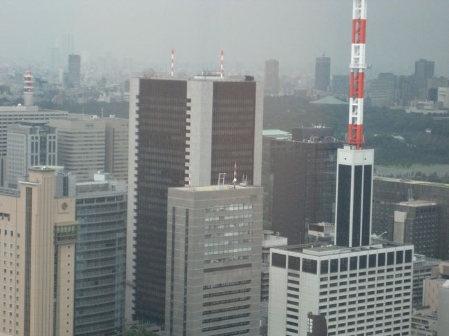 東京に用事があったので<br />日帰りするのも味気ないような気がして・・・<br /><br />４トラのクチコミを見ていたら<br />ここのホテルが気になってきた！<br /><br />しかし・・・高いんだよな〜、私には。<br /><br />迷ったのですが<br /><br />ＰＣ完備（無料）<br />マッサージチェア<br />マンダラＳＰＡ内のハイドロバス・・・などが<br />決め手になり、泊まってきました。<br /><br /><br />